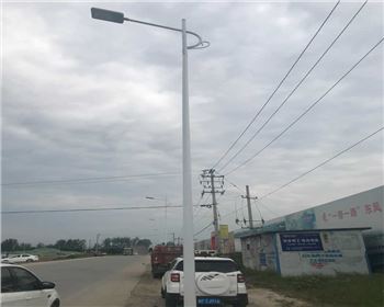 陜西漢中市城固縣上元觀街道路燈照明項目